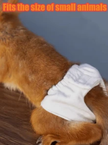 1pc Adjustable Small Pet Diaper, Reusable Washable Squirrel/Flying Squirrel Diaper With Buckle Pants, Highly Absorbent Leak-Proof, Outdoor Supplies, Training Pants, Suitable For Hamsters, Flying Squirrels, Squirrels, Best Gift For Small Pets. - one-size - View 3