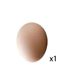 Plastic Simulated Hen Laying Egg Model | Non-Toy Hollow Design, Fully Enclosed Protection, Specially Designed To Guide Chicks Laying Eggs, Accessory - Multicolor - View 10