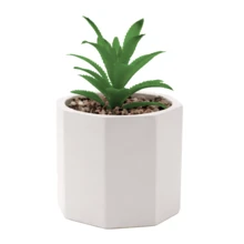 Kit Vasos de Cerâmica com Planta Suculenta Cachepot Vasinho Decorativo Decoração Mesa - 2 Vasinhos COM Planta - Visão 9