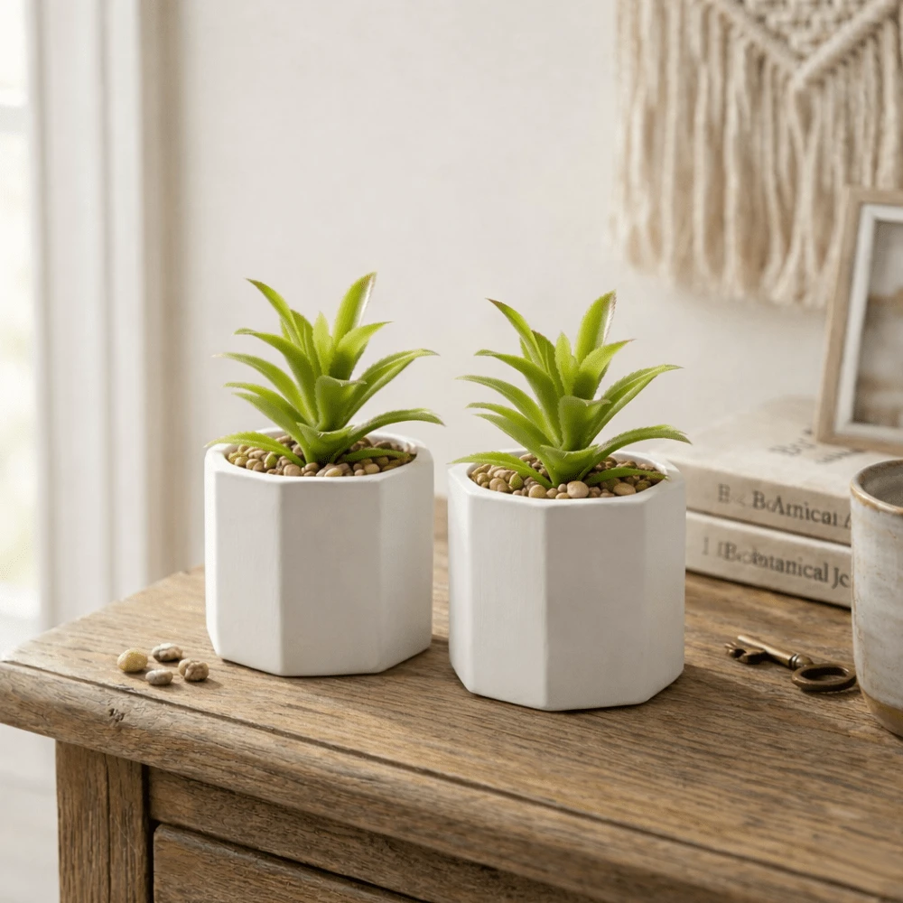 Kit Vasos de Cerâmica com Planta Suculenta Cachepot Vasinho Decorativo Decoração Mesa - 2 Vasinhos COM Planta - Visão 1