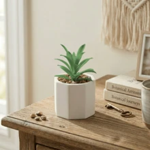 Kit Vasos de Cerâmica com Planta Suculenta Cachepot Vasinho Decorativo Decoração Mesa - 2 Vasinhos COM Planta - Visão 2