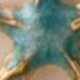 Sun Starfish Earring Set