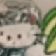 Gato Manzana Verde