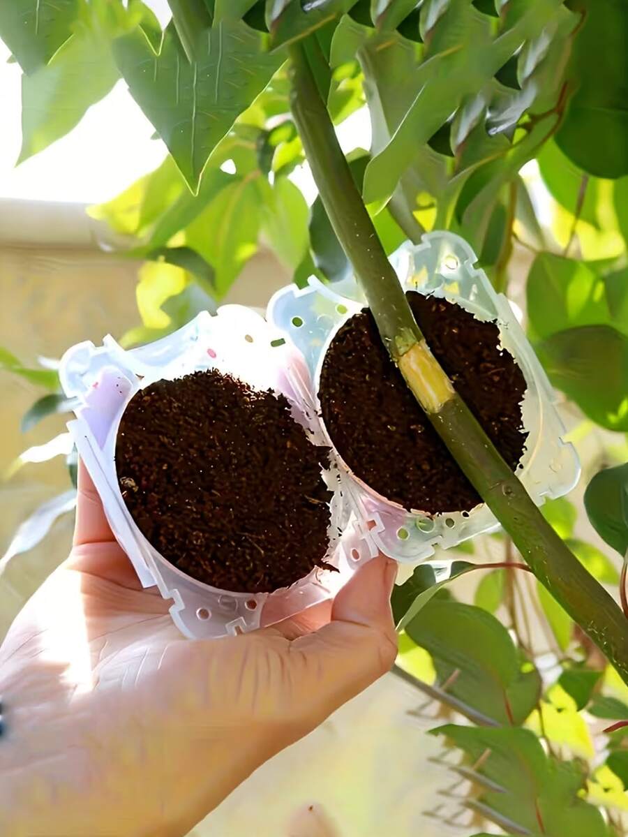 Hộp chiết cành, dụng cụ giâm cành, dải chiết cành, phương pháp chiết cành, thiết bị ghép bầu, thích hợp cho việc giâm cành, chiết cành và nhân giống củ, bộ dụng cụ làm vườn thiết yếu để chiết cành, ghép và giâm cành. - nhiều màu - Xem 1