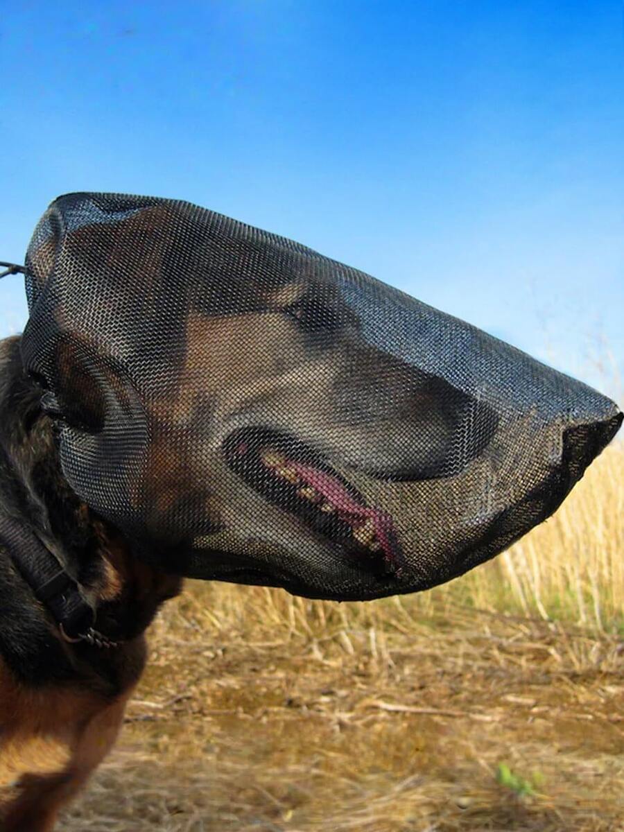1 chiếc mặt nạ bảo vệ cho chó, mặt nạ thoáng khí, ngăn ngừa tổn thương vùng mặt cho thú cưng, bảo vệ mắt, mũi và tai của chó khỏi bị kích ứng, thích hợp cho các hoạt động leo núi và phiêu lưu ngoài trời. - Nhiều màu - Xem 1