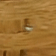 Caqui