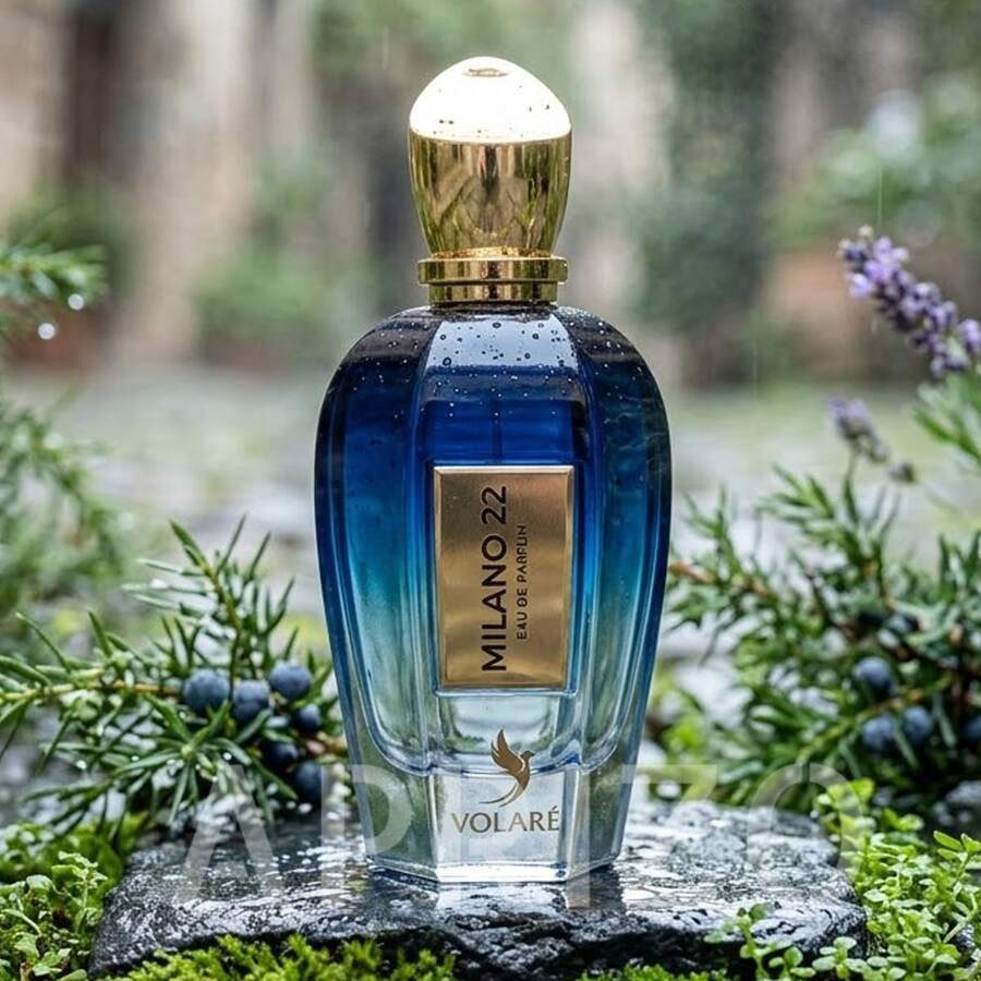 Volaré - Milanno 22 25 Ml Eau De Parfum For Men - Woody Musky - View 1