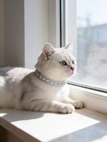1 pieza Collar para mascotas decorado con rhinestones, adecuado para gatos y perros, se puede usar a diario - Plateado - Ver 5