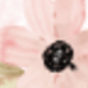 套裝