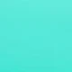 Verde Menta