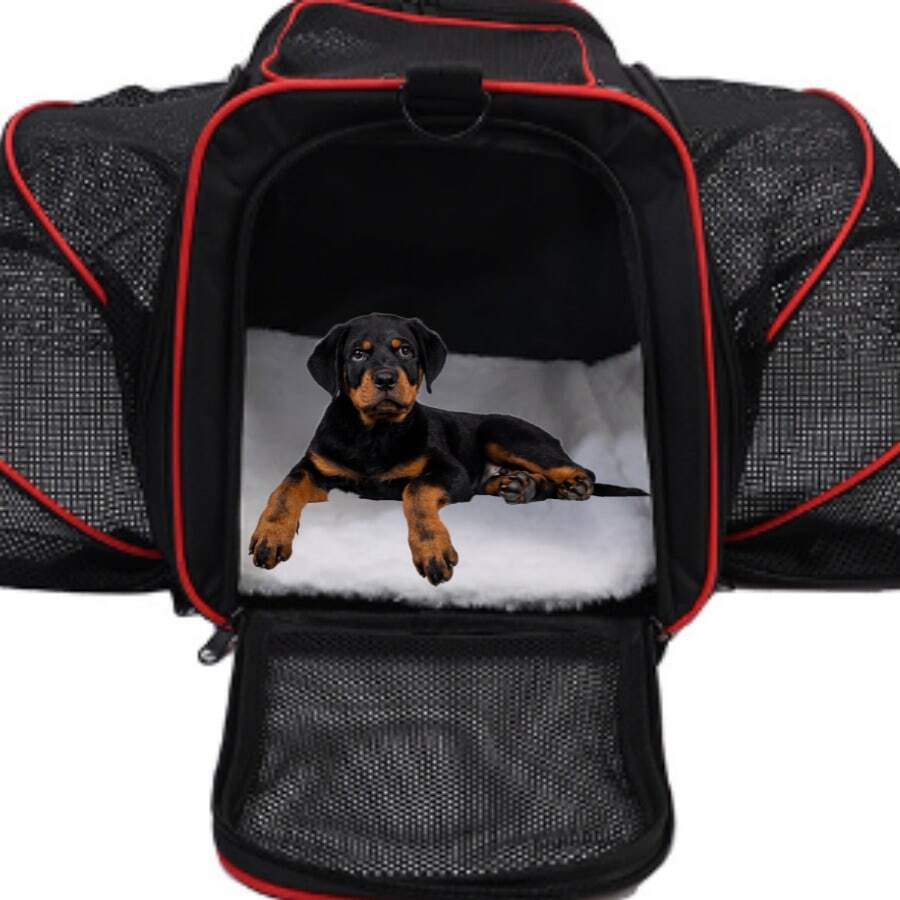 Pet Carrier Bag For Pets Up To 9kg, Expandable, Suitable For Airplane Travel, Premium For Dogs And Cats. - 紅色 - 查看 1