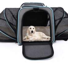 Pet Carrier Bag For Pets Up To 9kg, Expandable, Suitable For Airplane Travel, Premium For Dogs And Cats. - 霧霾藍 - 查看 7