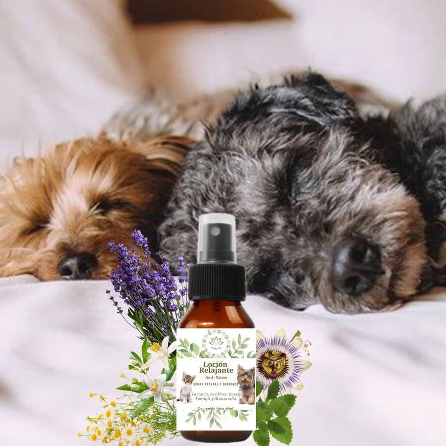 Organic Calming Relaxing Anti-Stress Lotion For Dogs, Cats, And Pets - 查看 1
