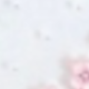 Polka Dot Pink Flowers