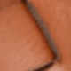 Camel 2821