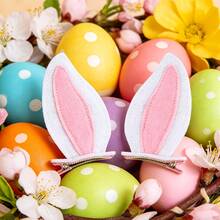 2个兔耳朵头箍和1个兔毛尾巴，适合复活节兔子装扮 - 彩色 - 查看 2