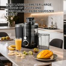 SOKANY SK-01022 多功能榨汁机，800W 大功率，99% 纯果汁，高温保护，易于清洁，旋钮控制，硅胶脚垫。非常适合家庭健康榨汁。 - 黑色 - 查看 3