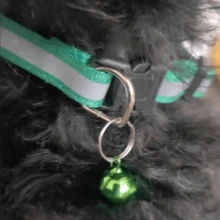 夜光反光宠物项圈，带铃铛，适合小型犬和猫，让您的宠物在夜间更容易被看到 - 彩色 - 查看 9