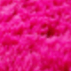 Rose Red