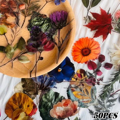 50 miếng dán PET trong suốt hình mẫu thực vật dùng để trang trí hành lý, laptop, sổ tay, album ảnh, đàn guitar, ván trượt, bình nước, đồ trang trí DIY.