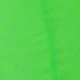 Green Silicon