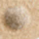 Nose Patch 120 Tablets