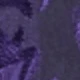 Violet Purple