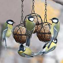 花园优雅悬挂式喂鸟器（3个装）| 金属水滴形和圆形设计，耐候性强 | 带翻盖和挂钩，轻松吸引鸣禽到您的篱笆或花园 - 3pcs - 查看 8