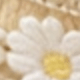 1Set