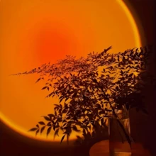 1pc USB Powered Flexible Gooseneck Lamp, Sunset Projection Light, Warm Color Temperature, Multi-Color Mode, Suitable For Home Decor, Photography Backdrop And Creating Romantic Ambiance - Orange color light - View 5