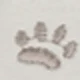 卡其色