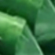 A Fork