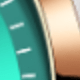 V301-rose Green