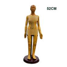 Mô hình châm cứu 52cm, mô hình huyệt đạo y học cổ truyền Trung Quốc dùng để giảng dạy, có kèm các điểm huyệt, thích hợp cho sinh viên thực hành minh họa, có đế. - Xem 11