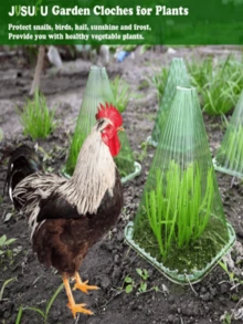 Cubierta protectora para plántulas, protección contra heladas, a prueba de viento y frío para plántulas de hortalizas y melón - A - Ver 3