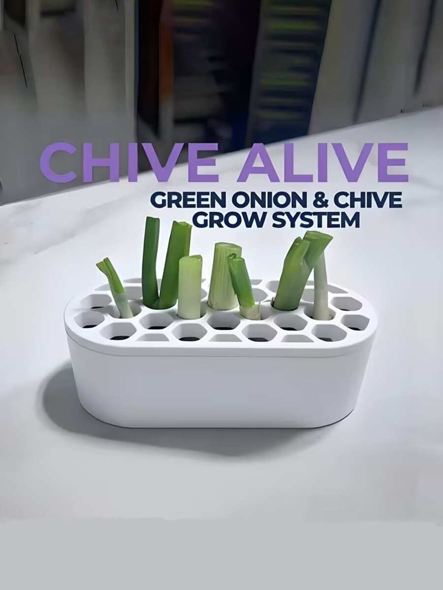 Scallion Regrowth Kit - Easily Grow Scallions At Home, No Skills Required | Compact System Suitable For Balcony, Windowsill And Small Spaces | Quick Scallion Regrowth - Multicolor - View 1