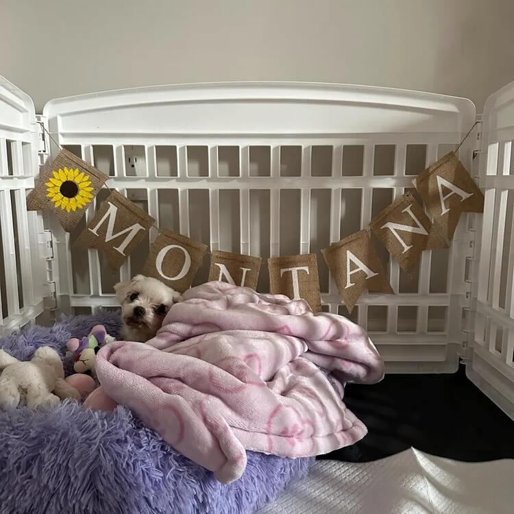 Custom Linen Banner Personalized Content Flag, Rustic Wedding Garland Decoration, Family Member Birthday Party Sign, Bridal Shower Banner, Anniversary Backdrop, Baby Shower Decor, Graduation Photo Prop, Engagement Party Decoration – Linen Fabric, Custom Text Available, Reusable, Farmhouse Style - Brown - View 7