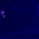 Azul Marino