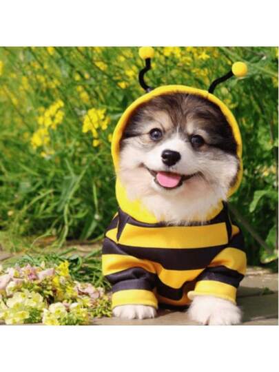 新款可爱蜜蜂服装，适合小型犬猫，万圣节时尚单品