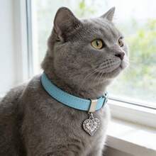 亮面PU皮革宠物项圈，配心形吊坠，适合宠物摄影和日常佩戴 - 淺藍色 - 查看 5