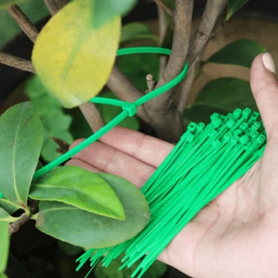 100pcs/200pcs Green Self-Locking Zip Ties, Heat Resistant Home Installation Fasteners, Suitable For Home Decor, Valentine's Day, Gifts