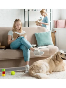 6个可调节宠物玩具挡块 - 家具缝隙填充物，防止玩具和杂物掉入沙发、床和架子缝隙中，耐用塑料设计 - 彩色 - 查看 7