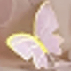 彩色