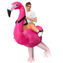 Adult Flamingo Riding Inflatable Suit, 3D Standing Cartoon Suit, Party Dance Photo, Funny Props - Multicolor - View 9