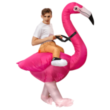 Adult Flamingo Riding Inflatable Suit, 3D Standing Cartoon Suit, Party Dance Photo, Funny Props - Multicolor - View 4