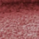 Red Violet