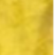 黃色字跡