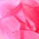 彩色