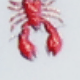 Nhiều màu