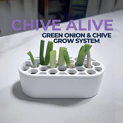 水培育苗盘，简易园艺系统，水培植物繁殖系统，台面种植箱，可重复使用，适用于厨房、阳台和露台